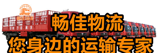 成都到林芝察隅縣物流公司-成都到林芝察隅縣貨運(yùn)專線-精品專線